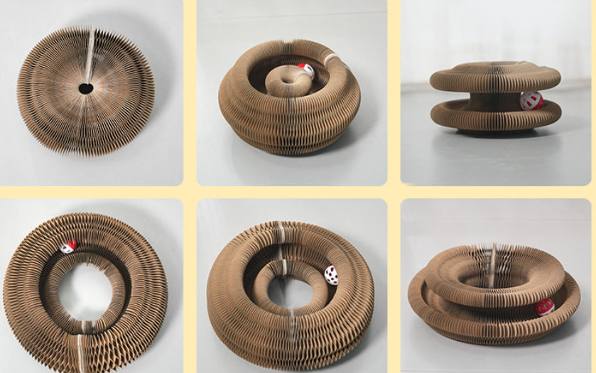 Magic Loop Interactive Cat Toy – image 4