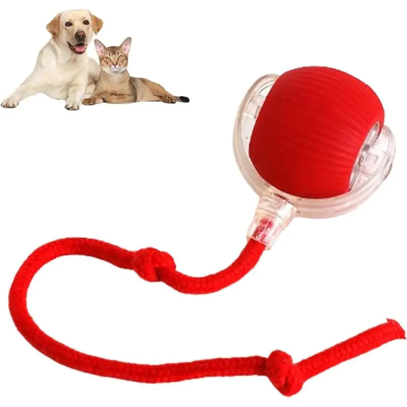 Rolling Pet Ball