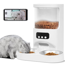 DuoView cat feeder with camera for 2 cats