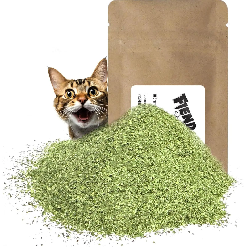 Fiend™ Catnip + Silvervine Blend – Ultra-Potent, All-Natural Cat Treat (⅓ Cup Pack)