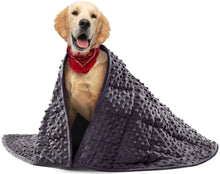 CalmNest Weighted Dog Blanket