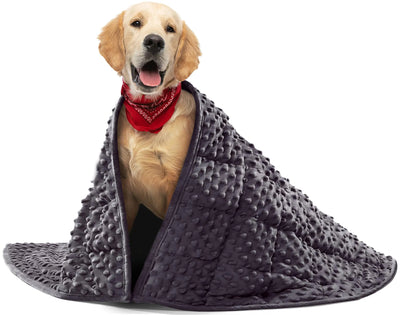 CalmNest Weighted Dog Blanket