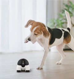 Happy Trails™ PetWatch Wireless Camera