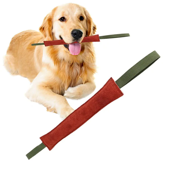 Dog Training Stick