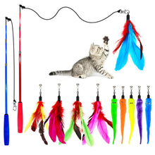 Feather wand cat toy