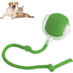 Rolling Pet Ball