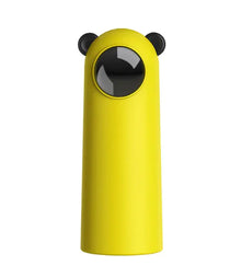 ChaseLight laser cat toy