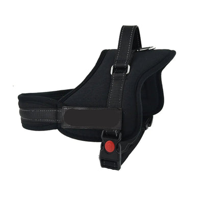 Customizable Dog Harness