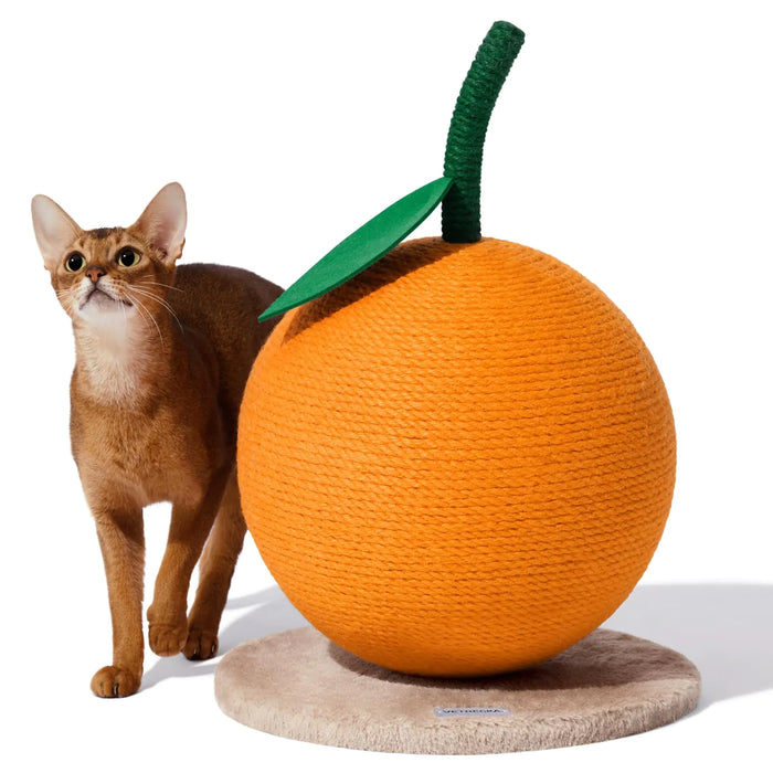 Orange Cat Scratcher