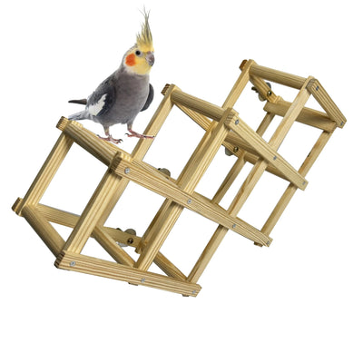 Bird Perches Stand