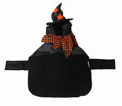 Halloween Pet Costume