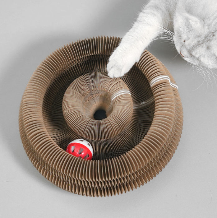 Magic Loop Interactive Cat Toy – image 3