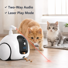 Pumpkii™ Smart Pet Robot – Mobile Camera