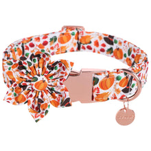 AutumnTails Dog Collar, alternate view of the fall print collar and bowtie