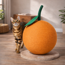 CitraClimb Orange Scratch Tower