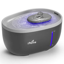 iPettie Quiet Pet Fountain