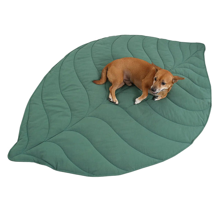 Leaf Dog Blanket