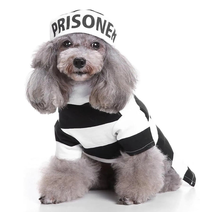 Pet Prisoner Costume