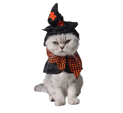 Halloween Pet Costume