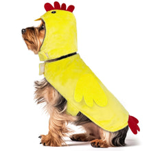 Thanksgiving dog costume, chicken with wings