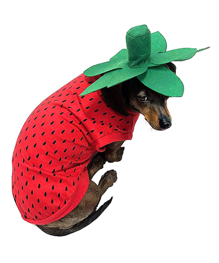 Strawberry Pet Costume