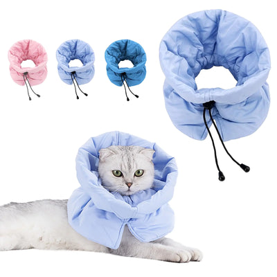 Cat Recovery Collar