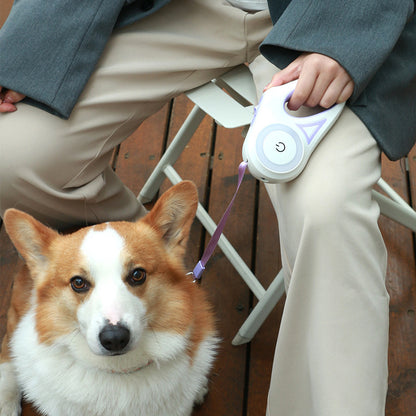 Led Lights Dog Leash – photo 3