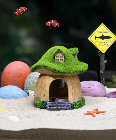 Aquarium Fish House