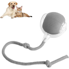 Rolling Pet Ball