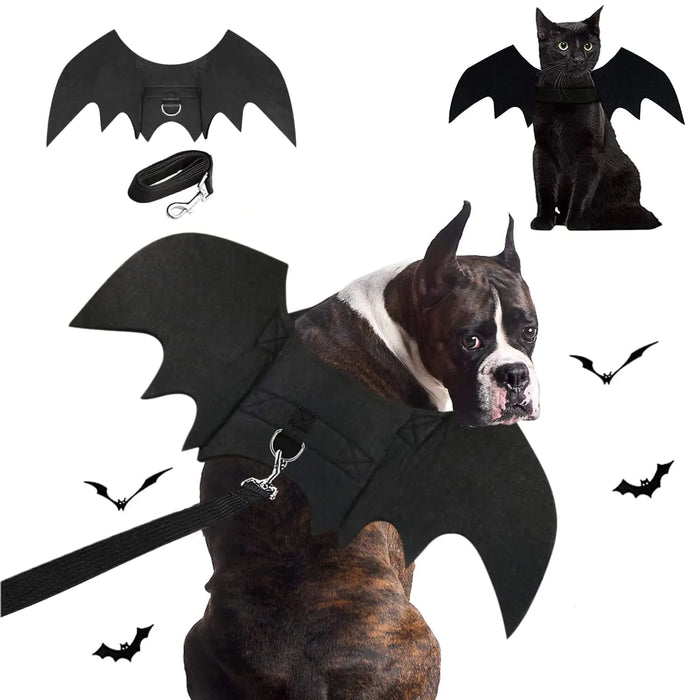 Halloween Pet Bat Costume