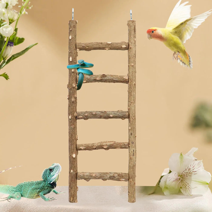 Bird Ladder Toy
