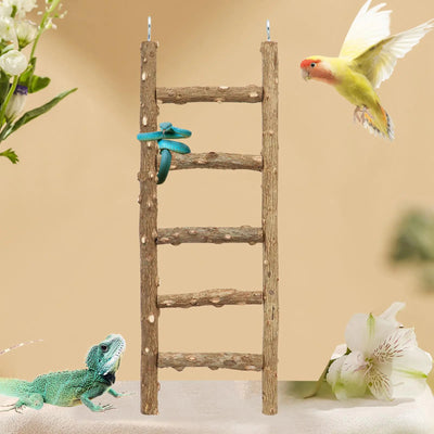 Bird Ladder Toy