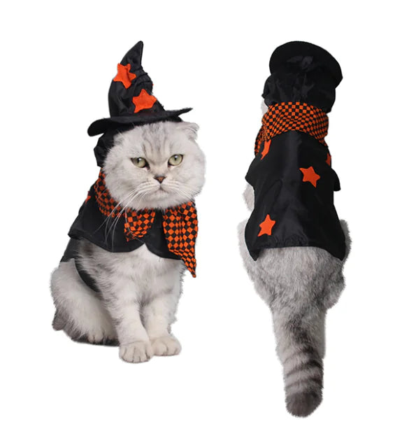 Halloween Pet Costume