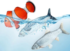 Electric Cat Fish Toy