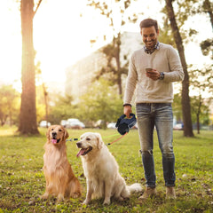 TangleFree™ Dual Retractable Dog Leash – 360° Swivel with LED Flashlight